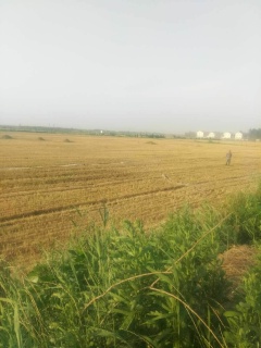 濮阳经济技术开发区扶贫小额信贷风险防控体系