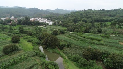 2016加强广西现代特色农业示范区用地支持意