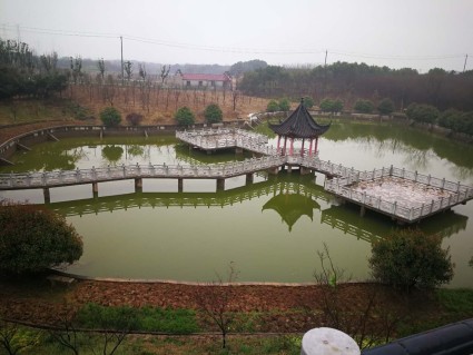 江苏省地税局关于调整土地增值税预征率的公告