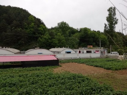 2018年河南栾川县城乡低保标准:城市居民每人