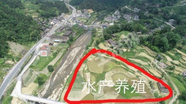 铜仁松桃苗族自治县1000亩土地综合开发寻求经营权合作