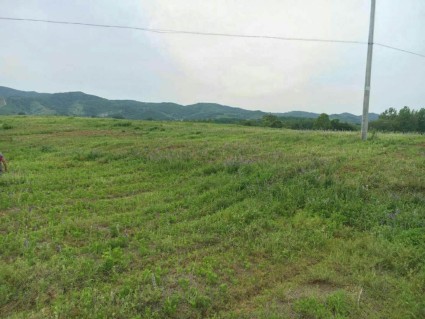 安徽乡村振兴规划:2020年实现现行标准下农村