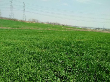 安徽乡村振兴规划:2020年实现现行标准下农村