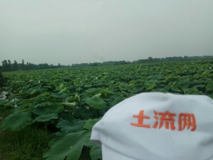 安徽乡村振兴规划:2020年实现现行标准下农村