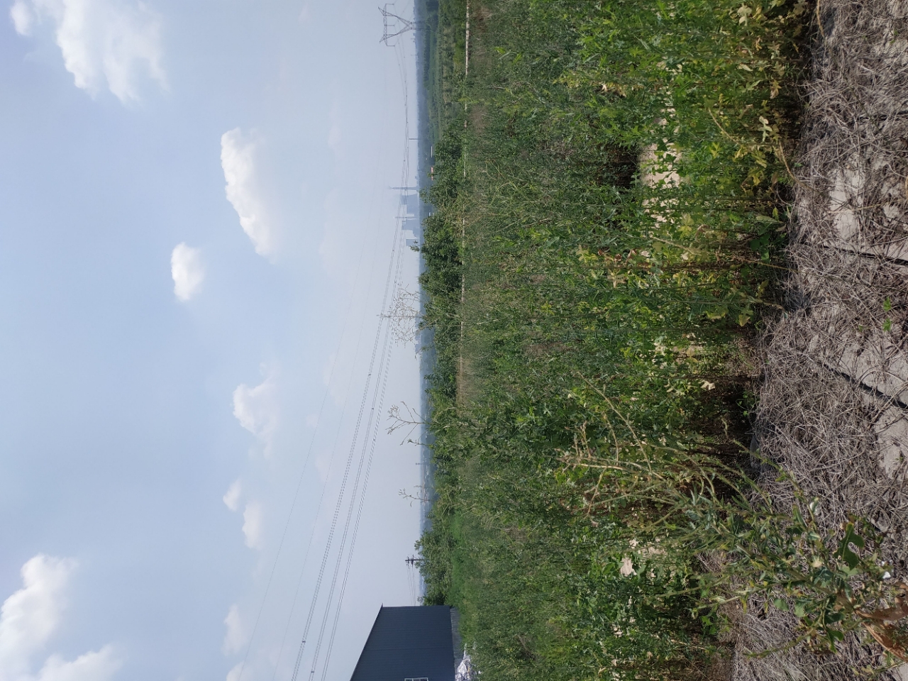 郑州新密市30亩工业用地转让