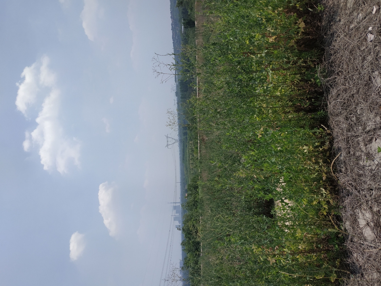 郑州新密市30亩工业用地转让