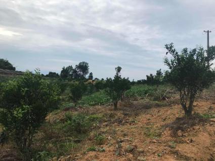 2018年成都市户籍迁入新政策解读:结婚入户须