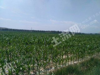 center_mid