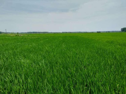 2018年安徽合肥二手房过户税费怎么算?(附收