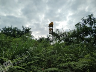 铜仁石阡县 1300亩 旱地 经营权转让