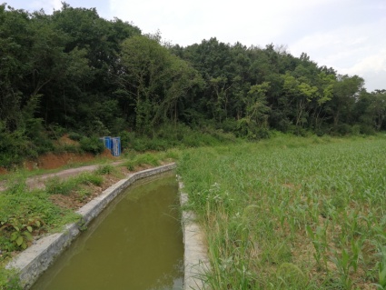 2018年浙江高温补贴:什么时候发?发多少钱?哪