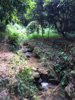 2017广州二手房交易税费及详细过户流程详解