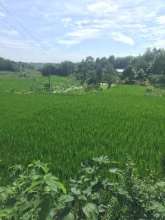 12月2日成都限价房开始登记!2017年申请条件