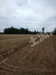 徐州新沂市 10亩 水浇地经营权 转让