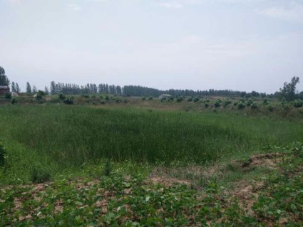 2018河南低保政策标准:农村每人年均不低于3