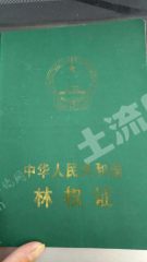 桂林灵川县 3000亩 乔木林地 经营权出租
