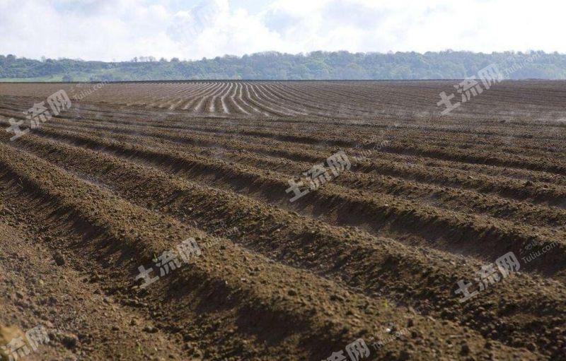 有效土層厚度大於150cm 土地肥力極高 地塊形狀規則 平整程度非常平整