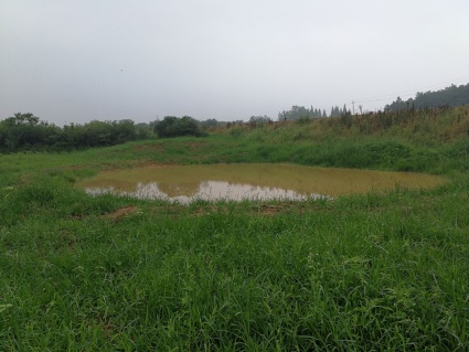 2018连云港海州区棚户区改造计划:计划改造5