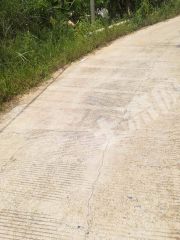 韶关  乳源瑶族自治县 15亩 旱地 经营权转让