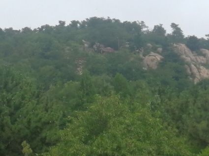 山东省农药经营许可证发放管理暂行办法