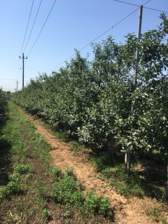 2018-2019年个体工商户网上进行营业执照年检