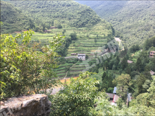 广元旺苍县 4600亩 水浇地 经营权出租