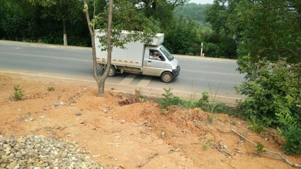 2018年湖南农村低保标准:每月领多少钱?