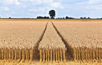 中华街道人口面积信息_中华街道图片位置_经