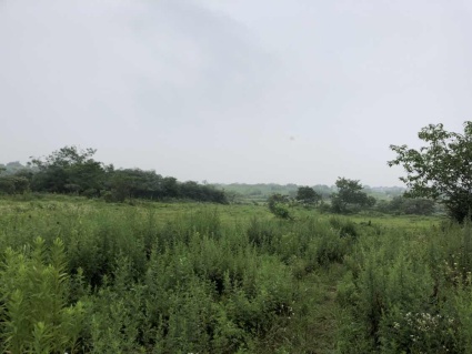 2018年湖南农村低保标准:每月领多少钱?