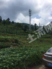 广元旺苍县 4600亩 水浇地 经营权出租