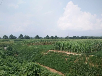 2017河南省光伏扶贫政策:附关于进一步规范光