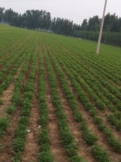 濮阳经济技术开发区扶贫小额信贷风险防控体系