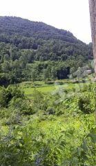 巴中通江县 1000亩 水田 经营权出租