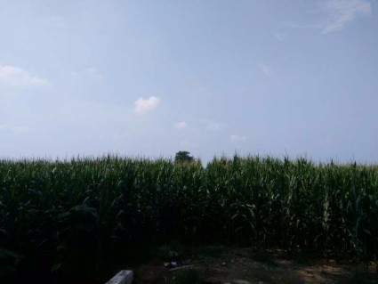 6194dc03-f514-dd6b-e010-c0f00e12cdcb.jpg@320h_425w