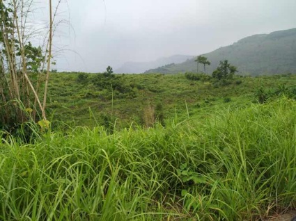 2016广西《关于加快推进农村低保制度与扶贫