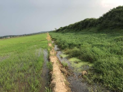 湖南省耕地占用税税收的最新优惠政策