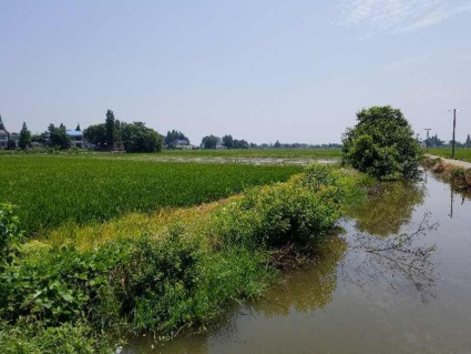 2016年《岳阳市房地产开发项目货币资本金管