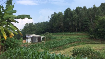 2018年广西医保新政:7月1日起全面实行个人医