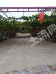 新乡长垣县50亩宜养老、农庄、乐园用地出租或转让XX1058