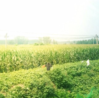 2018年河南城镇居民医疗保险报销比例