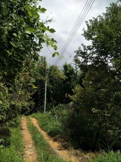 搜索国土资发〔2010〕155号