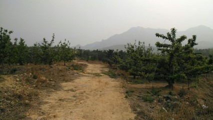 2018年青岛停工令最新消息:上合峰会停工限行