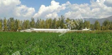 大理洱源县20亩设施农用地经营权转让可养牛种植