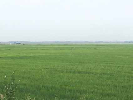 2017年江西省《关于调整土地增值税预征率及