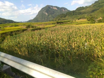 2018年张家界慈利县棚改计划项目:计划改造1