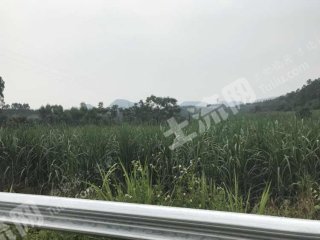 柳州柳江区 1000亩 旱地 经营权出租