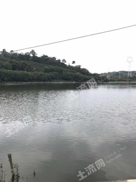 昆明宜良县周边34亩鱼塘经营权出租