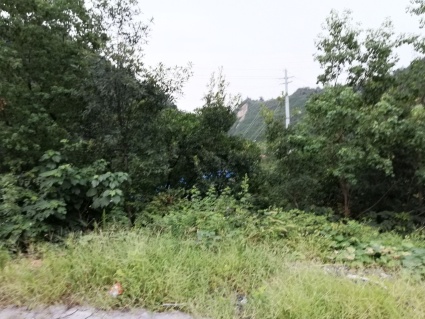 湖北省工业建设用地控制指标规定(2005年)