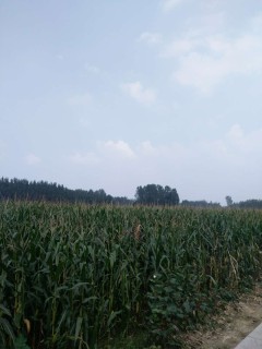 2018至2019河南省最新建筑停工令!这13个地区