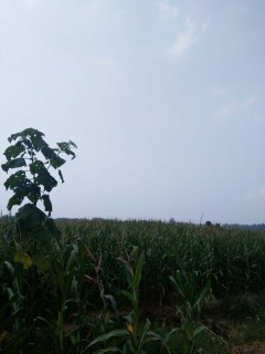 2018至2019河南省最新建筑停工令!这13个地区